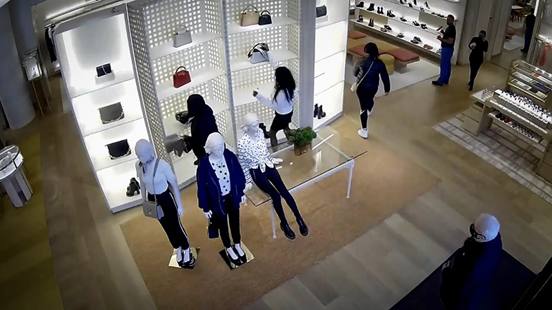 Team of thieves stealing purses from store shelves